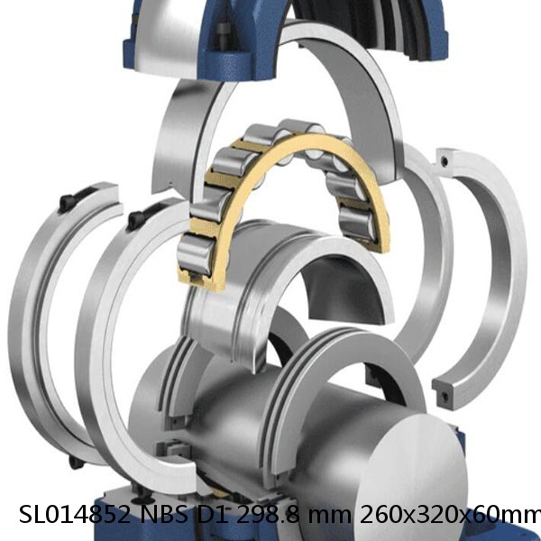 SL014852 NBS D1 298.8 mm 260x320x60mm  Cylindrical roller bearings