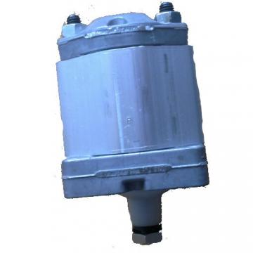 Atos Gear Pump PFG-340