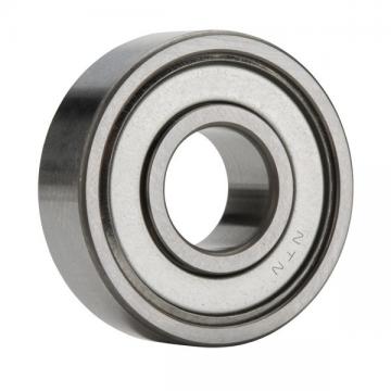 NSK BEARING MODEL # 6007ZZC3 AV2S5