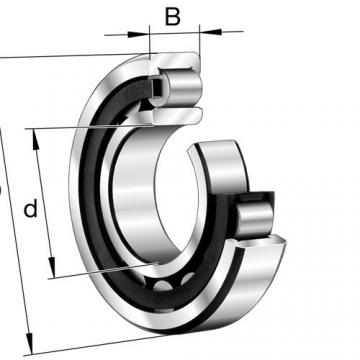 FAG BEARING NU1068-M1