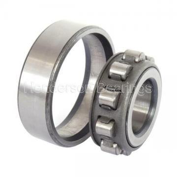 SKF 305/C3