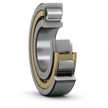 SKF NJ 2319 ECML/C5