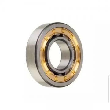 FAG BEARING NJ2313-E-M1A-C3