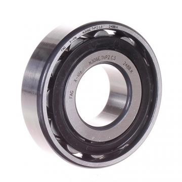 FAG BEARING N306-E-TVP2-C3