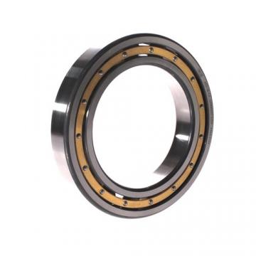 FAG BEARING 6021-M-C4