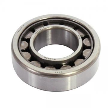 NSK NU205W Single Row Roller Bearing ! NEW !