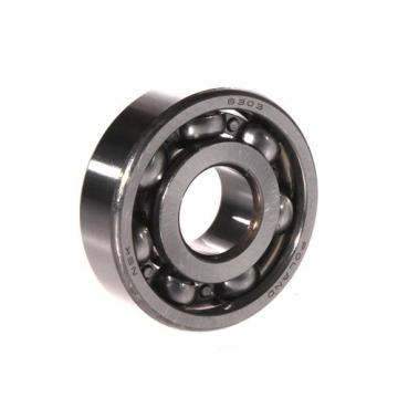 NSK Ball Bearing 6303CM