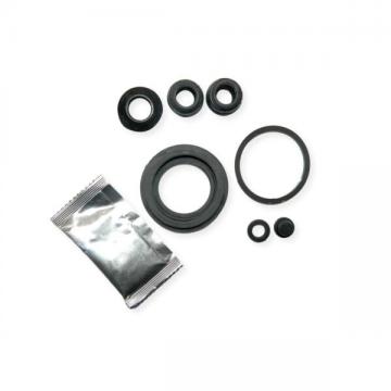 ARK107 NEW REPAIR KIT FOR VALEO ALTERNATOR Bearing NSK 6202 Brushes Slip rings