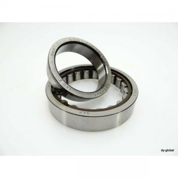 NJ1011ECP/C3VB022 SKF Germany Cylindrical Roller Bearing 55X90X18 New 0039811301