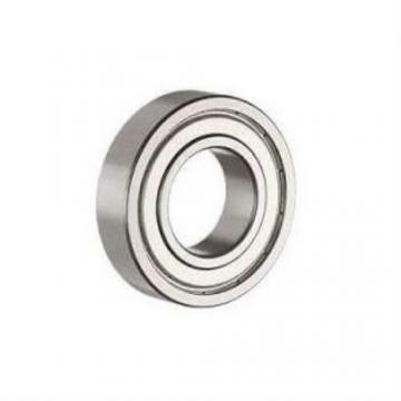 SKF 6009-2ZJEM Bearing