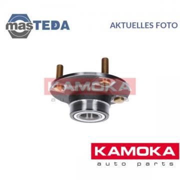 SNR Wheel Bearing Kit R18411