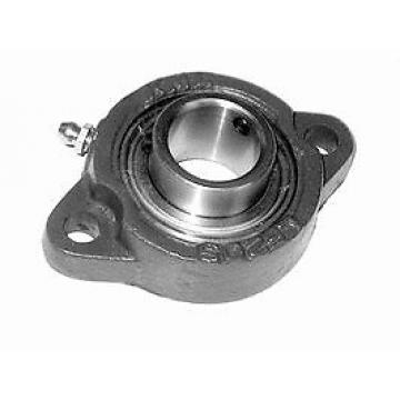 BLF206-20 FYH  A1 12 mm Bearing units