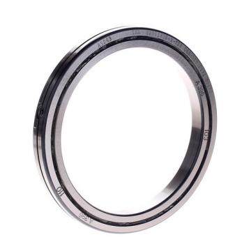 SX011820 Cross Cylindrical Roller Bearing INA Structure