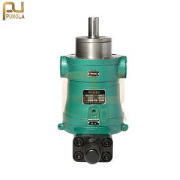 160SCY14-1B  axial plunger pump