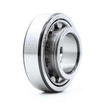 SKF NUP 206 ECP/C3
