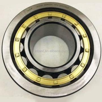 SKF NJ 218 ECML/C3