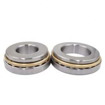 SKF WS 81215