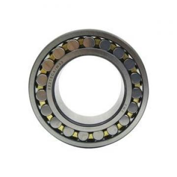 FAG BEARING 22213-E1-C3