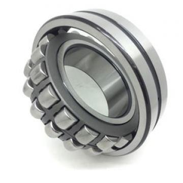 NSK Bearing 22218.CJ.W33.C3