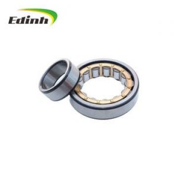 FAG BEARING NU2210-E-M1-C4