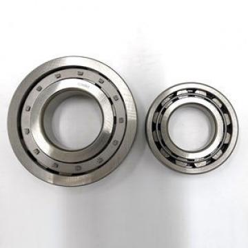 SKF NU 2206 ECP/C3