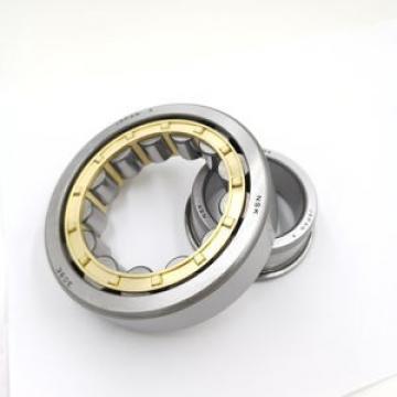 FAG BEARING NJ236-E-M1-C4