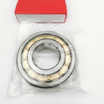 SKF NJ 311 ECJ/C4