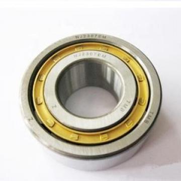 FAG BEARING NJ407-M1