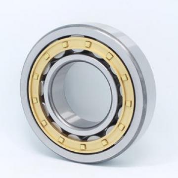 SKF N 317 ECM/C3