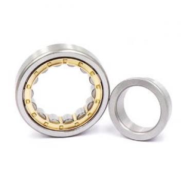 FAG BEARING NJ315-E-JP1