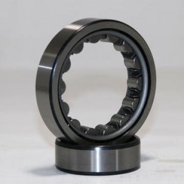 FAG BEARING NU2305-E-M1A-C4