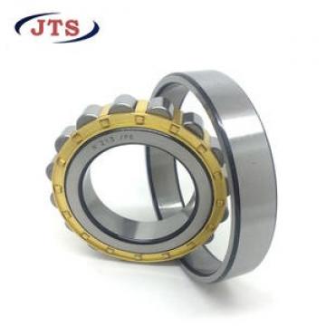 FAG BEARING NJ419-M1-C3