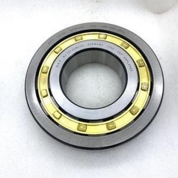 FAG BEARING NJ315E.M1.C4.F1