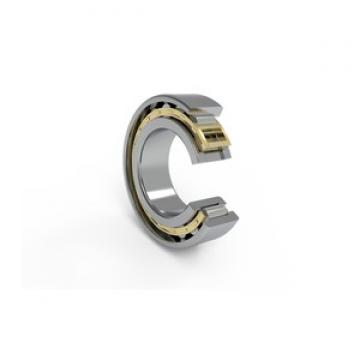 SKF NJ 326 ECM/C3