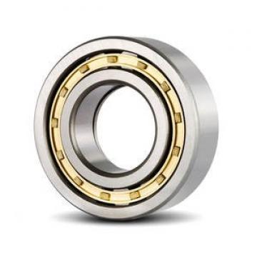FAG BEARING NJ318-E-M1-F1-T51F