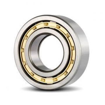 FAG BEARING NJ318-E-M1-F1-T51F