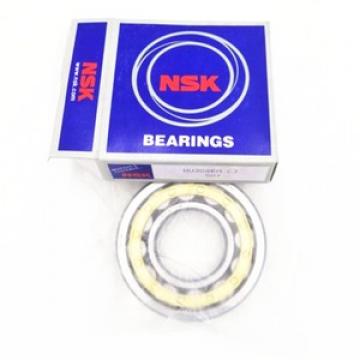 FAG BEARING NJ316-E-M1-C4