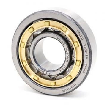 TIMKEN NU2356MAC3