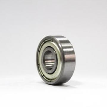 NEW LOT OF 2 NSK Bearing 6202Z