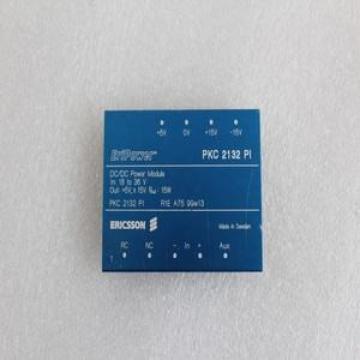 INA PAP14060P10
