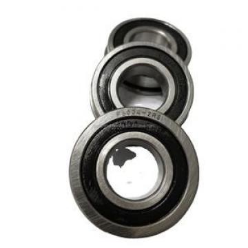 6004 20x42x12mm DDU C3 Rubber Sealed 2RS NSK Radial Deep Groove Ball Bearing