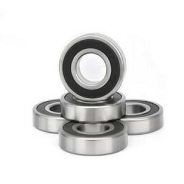 6006 30x55x13mm C3 2Z ZZ Metal Shielded NSK Radial Deep Groove Ball Bearing