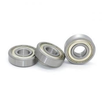 NSK 6300 - 6309 ZZ Series Metal Sealed Bearings