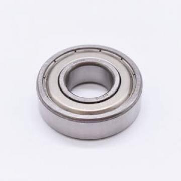 21313EX1 NACHI 65x140x33mm  (Grease) Lubrication Speed 3600 r/min Cylindrical roller bearings