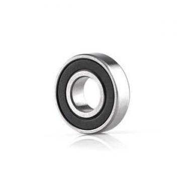 New NSK 6007ZZ Bearing