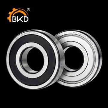 SKF 6007 2Z BEARING NEW