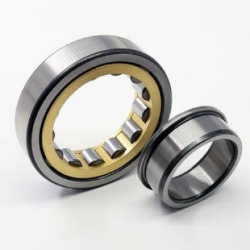 SKF N319 Bearing