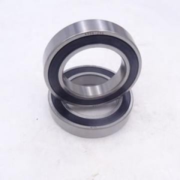 NUP 219 ECP SKF 170x95x32mm  Noun Bearing Thrust ball bearings
