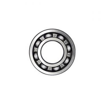 SL183005 ISO 25x47x16mm  D 47 mm Cylindrical roller bearings