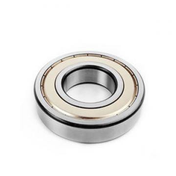 1310 NSK 50x110x27mm  SRIN 0 Self aligning ball bearings